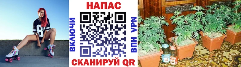Наркошоп Скопин КОКАИН hydra ONION АМФЕТАМИН Каннабис A PVP