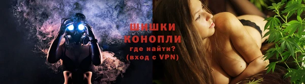 дмт Ростов