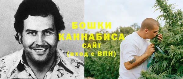 дмт Ростов