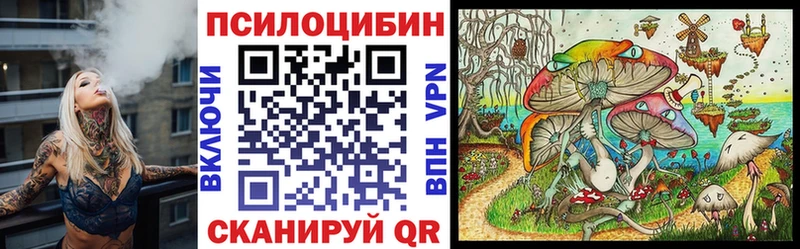 где продают   Скопин  Псилоцибиновые грибы мицелий 