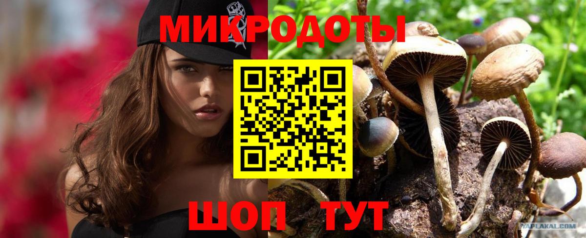Галлюциногенные грибы GOLDEN TEACHER Скопин